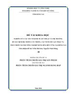 Phân tích chuỗi giá trị ngành hàng bắp