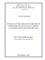 ĐÁNH GIÁ SỰ TƯƠNG ĐỒNG GEN MÃ HÓA ĐỘC TỐ ĐƯỜNG RUỘT (STa, STb VÀ LT) CỦA VI KHUẨN E. COLI PHÂN LẬP TỪ LỢN CON BỊ TIÊU CHẢY