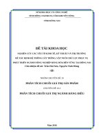 Phân tích chuỗi giá trị ngành hàng điều