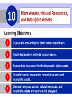 Accounting principles 12th  willey kieso chapter 10 