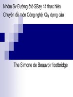cầu đi bộ simone de beauvoir 972