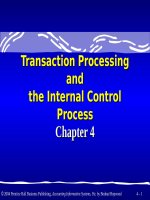 Accounting information system an overview 9e  bodnar hopwood chapter 04 