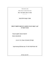 Phát triển dịch vụ kiểm toán độc lập ở việt nam