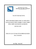 Phân tích hoạt động cho vay tiêu dùng tại ngân hàng nông nghiệp và phát triển nông thôn chi nhánh nam phước quảng nam 