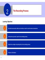 Accounting principles 12th  willey kieso chapter 02