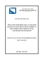 Phân tích tình hình cho vay hộ kinh doanh tại ngân hàng nông nghiệp và phát triển nông thôn đà nẵng chi nhánh ngũ hành sơn 