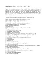 NGƯỜI VIỆT QUA THUYẾT ÂM DƯƠNG