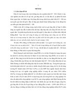 Dân số và phát triển kinh tế   xã hội tỉnh bình dương 