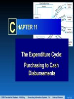 Accounting information systems  11e romney steinbart chapter 11 