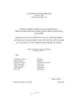 Finite element modelling of externally shear -strengthened beams using fibre reinforced polymers