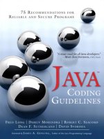Addison wesley java coding guidelines sep 2013 ISBN 032193315x 