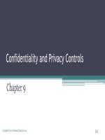 Accounting information system an overview 9e bodnar and hopwood 2015 chapter 09 