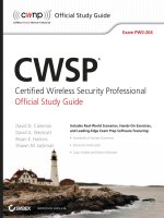 Sybex  certified wireless security professional official study guide exam PW0 204 