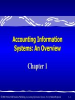 Accounting information system an overview 9e  bodnar hopwood chapter 01 