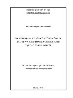 Mô hình quản lý vốn của tổng công ty đầu tư và kinh doanh vốn nhà nước tại các doanh nghiệp 