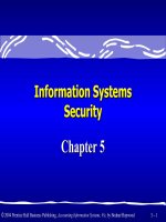 Accounting information system an overview 9e  bodnar hopwood chapter 05 