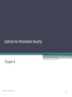 Accounting information system an overview 9e bodnar and hopwood 2015 chapter 08 