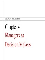 Exploring management 3rd ch04 