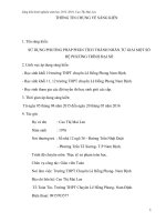 SKKN SỬ DỤNG PHƯƠNG PHÁP PHÂN TÍCH THÀNH NHÂN TỬ GIẢI MỘT SỐ HỆ PHƯƠNG TRÌNH ĐẠI SỐ