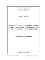 Nghiên Cứu Chuyển Gen Mã Hóa Protein Bề Mặt Của Virus H5n1 Vào Cây Đậu Tương Phục Vụ Sản Xuất Vaccine Thực Vật