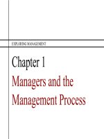 Exploring management 3rd ch01 