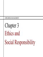 Exploring management 3rd ch03 