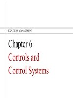 Exploring management 3rd ch06 