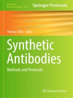Methods in molecular biology vol 1575 synthetic antibodies methods and protocols 