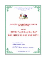 SKKN rèn kĩ năng làm bài tập đọc hiểu cho học sinh lớp 11 