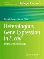 Methods in molecular biology vol 1586 heterologous gene expression in e  coli methods and protocols 