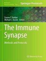 Methods in molecular biology vol 1584 the immune synapse methods and protocols 