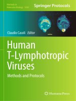 Methods in molecular biology vol 1582 human t lymphotropic viruses methods and protocols 