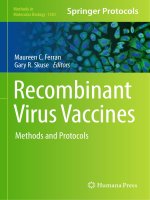 Methods in molecular biology vol 1581 recombinant virus vaccines methods and protocols 