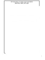 sang kiến kinh nghiệm Tổ chức hoạt động nhóm trong dạy học một số nội dung của chương trình toán lớp 11