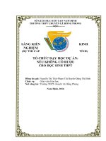 sáng kiến tổ chức dạy học dự án nếu không có rượu  cho học sinh THPT