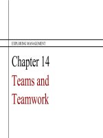 Exploring management 3rd ch14 