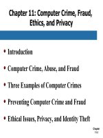 Accounting information systems 12th SIMKIN and norman chapter 11 