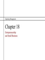 Exploring management 3rd  ch18 