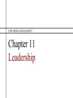 Exploring management 3rd ch11 