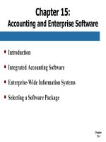 Accounting information systems 12th SIMKIN and norman chapter 15 