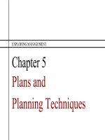 Exploring management 3rd ch05