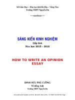 Skkn HOW TO WRITE AN OPINION ESSAY 