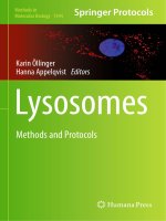 Methods in molecular biology vol 1594 lysosomes methods and protocols 
