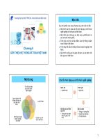 Bài giảng Nguyên lý kế toán 1  Chương 9 Giới thiệu hệ thống kế toán Việt Nam