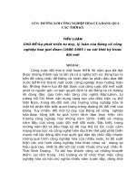 TIỂU LUẬN   sự PHÁT TRIỂN tư DUY lý LUẬN của ĐẢNG về CÔNG NGHIỆP hóa GIAI đoạn (1986   1995) SO với THỜI kỳ TRƯỚC đổi mới