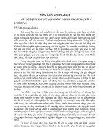 SKKN một số BIÊN PHAP rèn kỹ NĂNG VIẾT CHÍNH tả