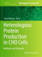 Methods in molecular biology vol 1603 heterologous protein production in CHO cells methods and protocols