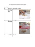 THỰC HÀNH dược LIỆU