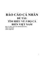 Báo cáo cá nhân Tìm hiểu về 5 họ cá biển Việt Nam