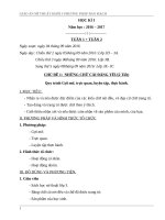 giáo án mỹ thuật đan mạch nâng cao năng lực học sinh lớp 3 học kì 1 (đã bổ sung hoàn thiện) 